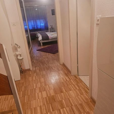 3 Und Halb Zimmer Wohnung Birsfelden Exterior photo